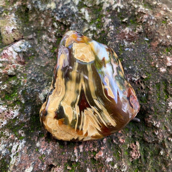 Piranha Agate, 1/3 LB+ Freeform Palm Stone, Semi-Polished, Brazil, 157.30 Grams, CR11677