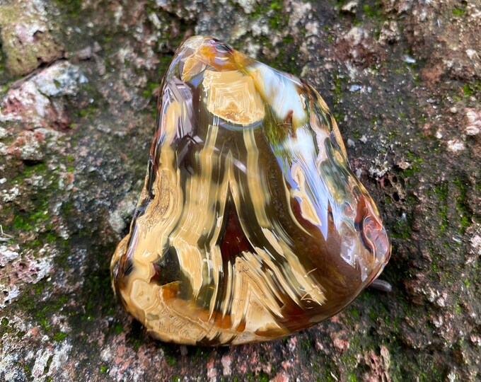 Piranha Agate, 1/3 LB+ Freeform Palm Stone, Semi-Polished, Brazil, 157.30 Grams, CR11677