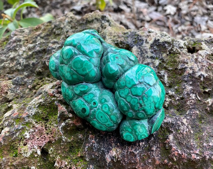 MALACHITE Botryoidal, Globular, 3/4 LB+ Orbicular Cut Flat Stone, Africa, 378.80 Grams, CR12341