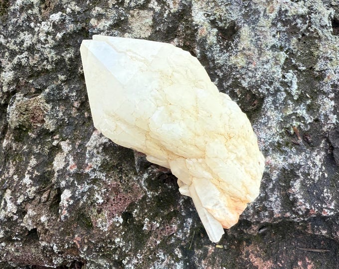 Candle Quartz, 2/3 LB- Cut Flat & Standing, Raw Elestial, Bridge Crystals, Oxide, Madagascar, 284.50 Grams, CR12522