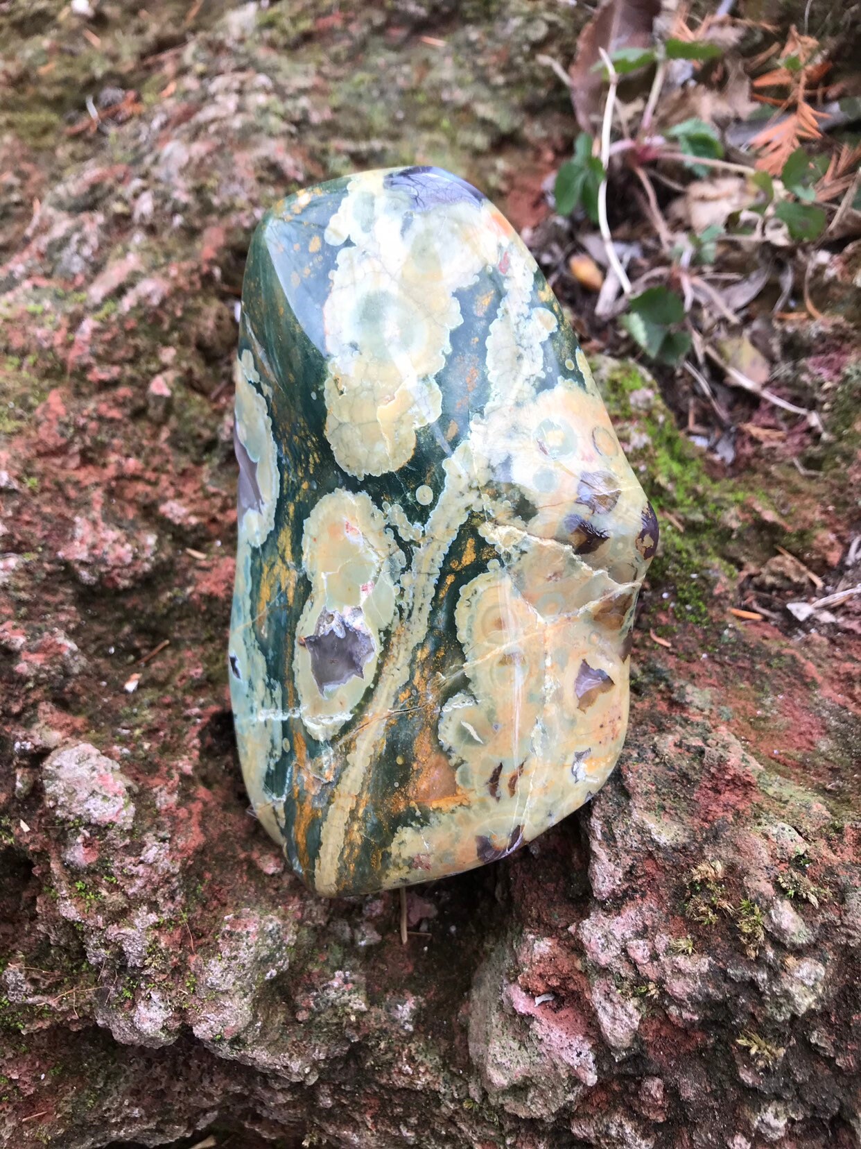 Sold to Kathleen 1/9*1/2 LBS Rainforest Jasper 223.9 Grams, 7.9 Ounces ...