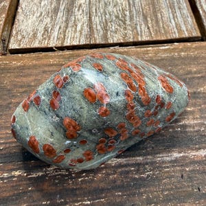 Pu&ograve; includere: Una pietra levigata di forma arrotondata. La pietra ha un aspetto screziato con un colore di base grigio-verde e numerose macchie rosso-arancio. La pietra &egrave; liscia e sembra naturale.