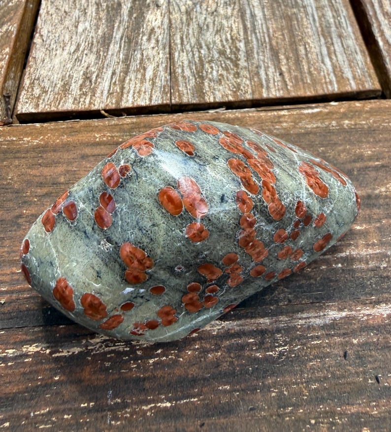 Pu&ograve; includere: Una pietra levigata di forma arrotondata. La pietra ha un aspetto screziato con un colore di base grigio-verde e numerose macchie rosso-arancio. La pietra &egrave; liscia e sembra naturale.