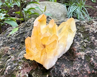 RK Golden Healer Cluster, 1/3-1/2 LB, Raw, Record Keeper, Full Crystal, Rainbow Iridescence, Arkansas, 195.30 Grams, CR12479