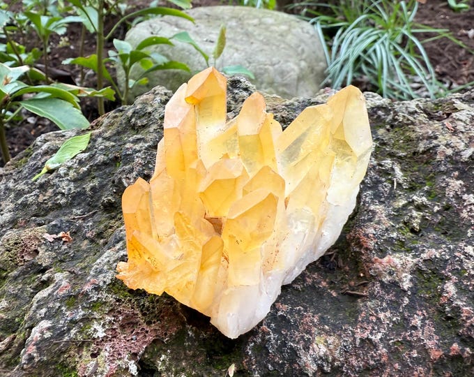 RK Golden Healer Cluster, 1/3-1/2 LB, Raw, Record Keeper, Full Crystal, Rainbow Iridescence, Arkansas, 195.30 Grams, CR12479