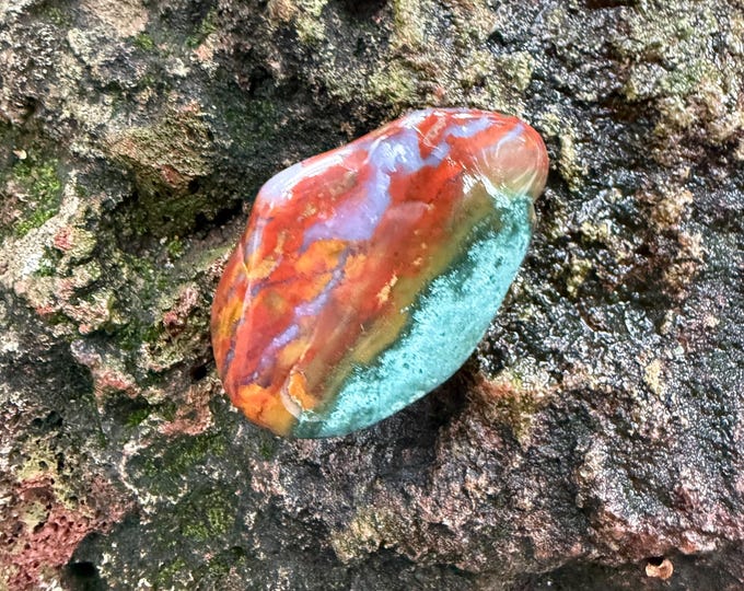 BLOODSTONE, Polished Freeform Colorful Palm Stone, India, 77.30 Grams, CR12627