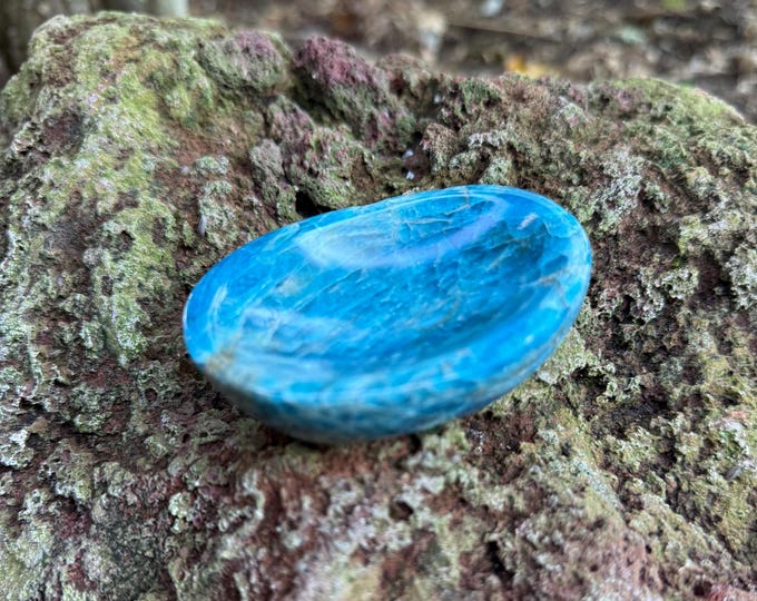 BLUE APATITE Stone Dish, Cut Flat & Polished, Madagascar, 142.70 Grams, CR12696