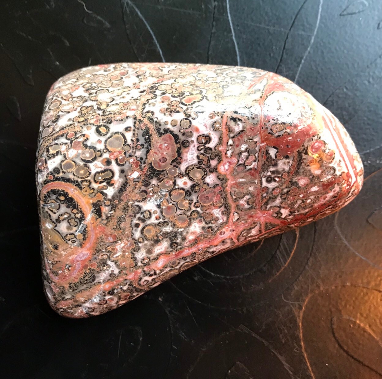 leopard skin jasper