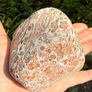 May include: A polished, rounded stone with a unique pattern of red, orange, brown, and gray spots and swirls. The stone is held in a hand, showcasing its natural beauty and intricate details. The stone's surface has a smooth, tactile appearance.