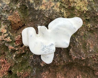 SNAKESKIN AGATE, Knobby Palm Stone, Polished, 101.80 Grams, Oregon, CR12814