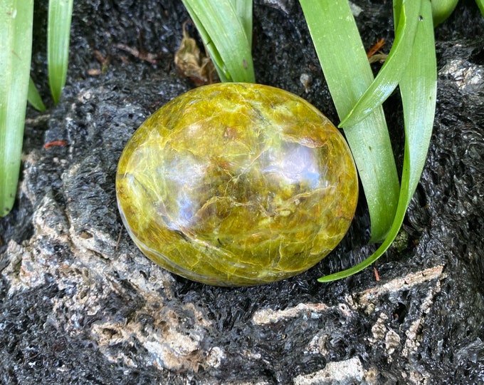 Green Opal, 1/3 LB+ Large Polished Palm Stone, Madagascar, 184.60 Grams, CR11654
