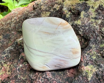 Butterstone Palm Stone, Polished Freeform, Older Than the Dinosaur, Africa, 77.10 Grams, CR12690