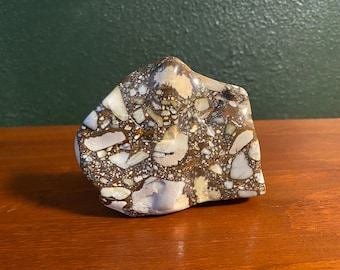 Pudding Stone, 1 LB+ Free Form, Polished Standing Conglomerate Stone, Tennessee, 485.10 Grams, CR12379