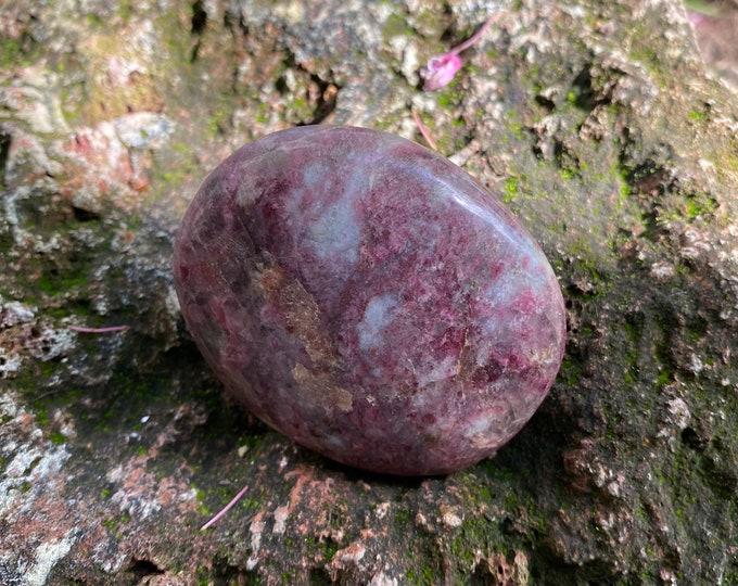 Rubellite, Red Tourmaline in Quartz Palm Stone, Polished, 134.80 Grams, CR11616