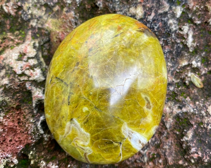 GREEN OPAL, 1/3 LB+ Polished Palm Stone, Madagascar, 170.60 Grams, CR11549