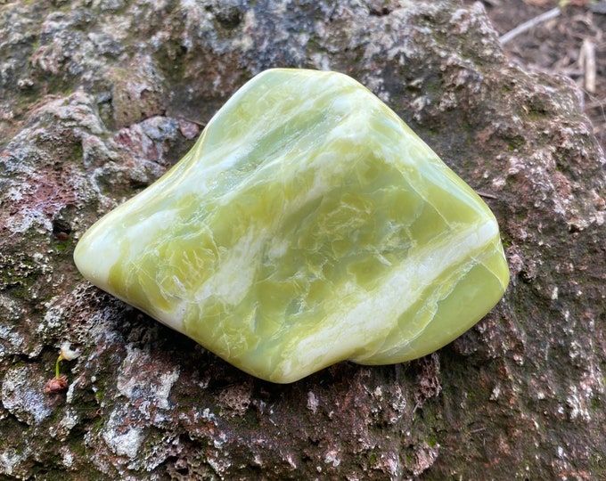 Noble Serpentine, 1 LB+ XL Healerite Stone, Polished, Washington State, 469.20 Grams, CR11545