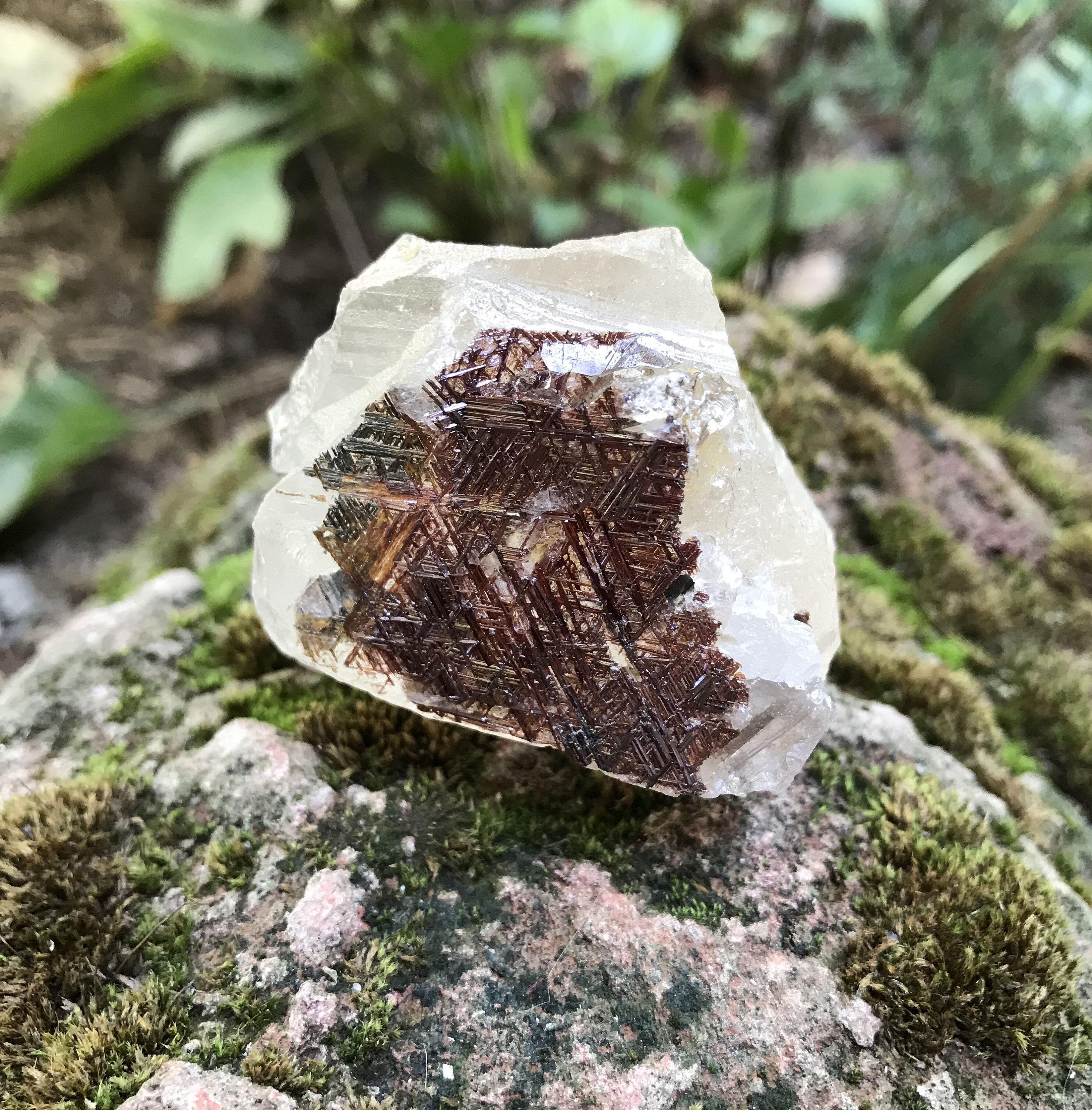Sold to Mommachick 10/4* Sagenite, Geometric Rutile, Quartz Sold to Mommachick 10/4* Sagenite, Geometric Rutile, Quartz
