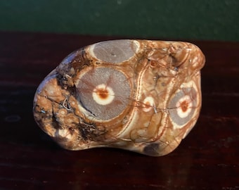 Birdseye Jasper, 1/3 LB Chunky Free Form Palm Stone, Polished, Mexico, 145.80 Grams, CR11908
