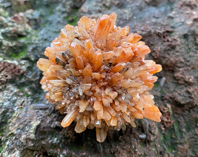 Creedite Cluster, 1/3 LB+ Clear, Orange Crystals, Meditation, Mexico, 152.20 Grams, CR11702