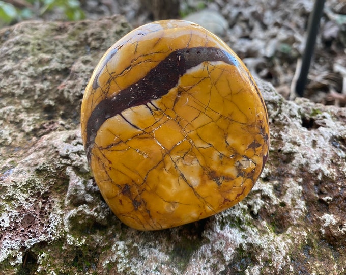 Mookaite Jasper 1/2 LB+ Polished Palm Stone, Standing Free Form, 235.20 Grams, Australia, CR10940