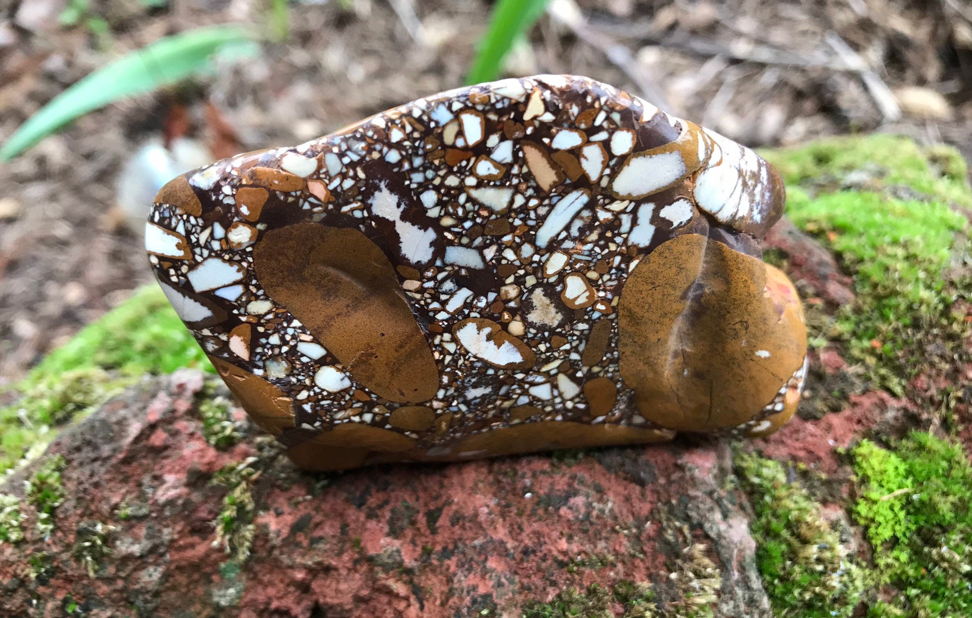 1/3 LB Pudding Stone, Conglomerate, Tennessee, 155.7 Grams, 5.49 Ounces