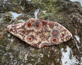 Birdseye Jasper, Polished, Large Freeform Palm Stone, Mexico, 153.90 Grams, CR12839