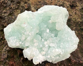 Apophyllite, Gyrolite, Scolecite, 3/4 LBS+ Zeolite Cluster, India, 397.70 Grams, CR12811