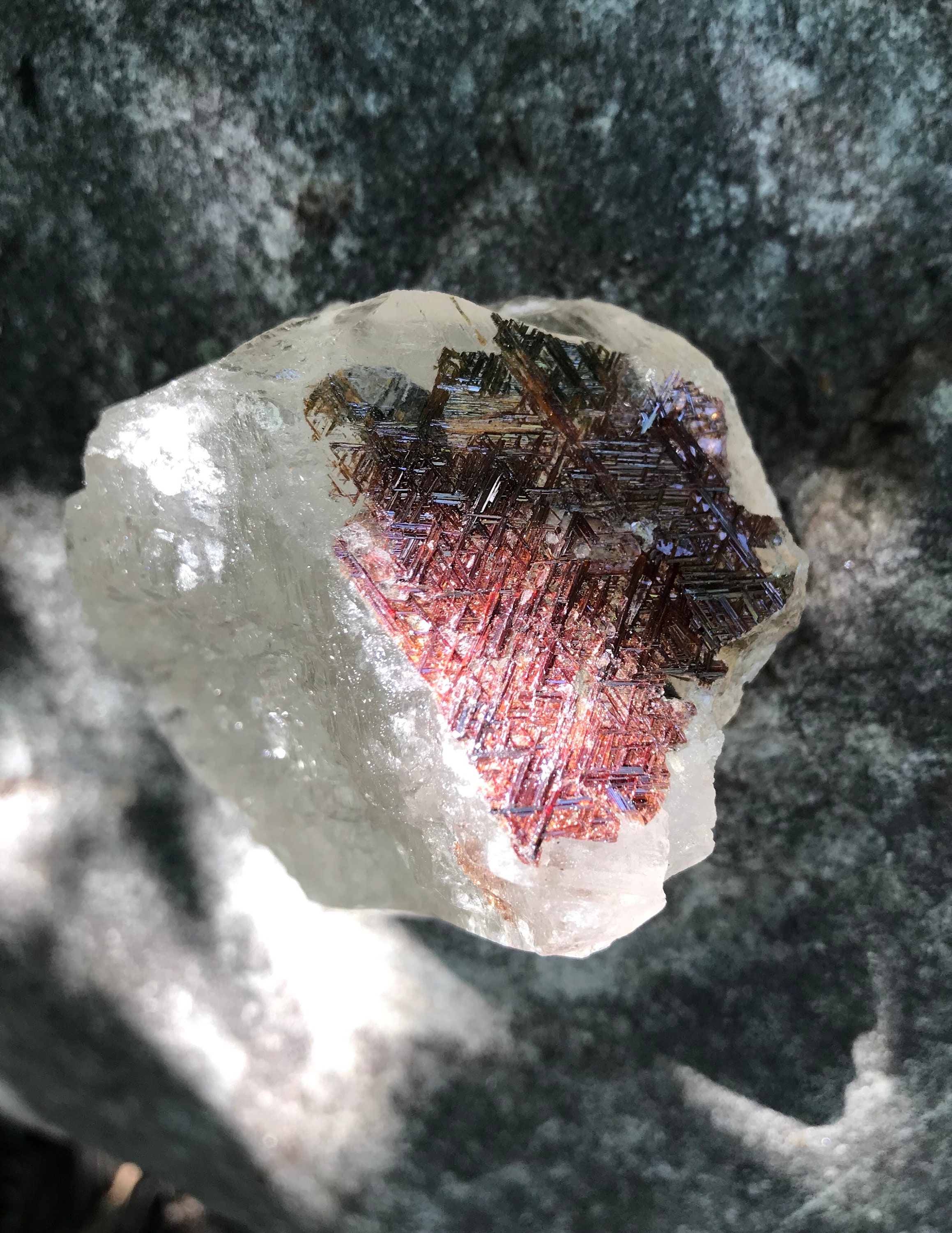 Sold to Mommachick 10/4* Sagenite, Geometric Rutile, Quartz Sold to Mommachick 10/4* Sagenite, Geometric Rutile, Quartz