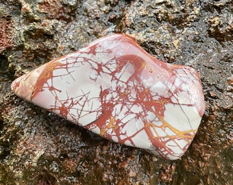 Noreena, Picture Jasper, 1/3 LB+ Large Polished Palm Stone, Western Australia, 180.70 Grams, CR11486