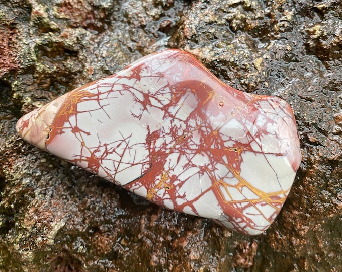 Noreena, Picture Jasper, 1/3 LB+ Large Polished Palm Stone, Western Australia, 180.70 Grams, CR11486