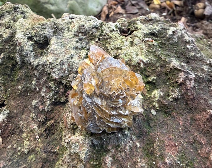 Selenite/Gypsum Ball with Blades, Raw Cluster, Grounding, Canada, 28.70 Grams, CR12753