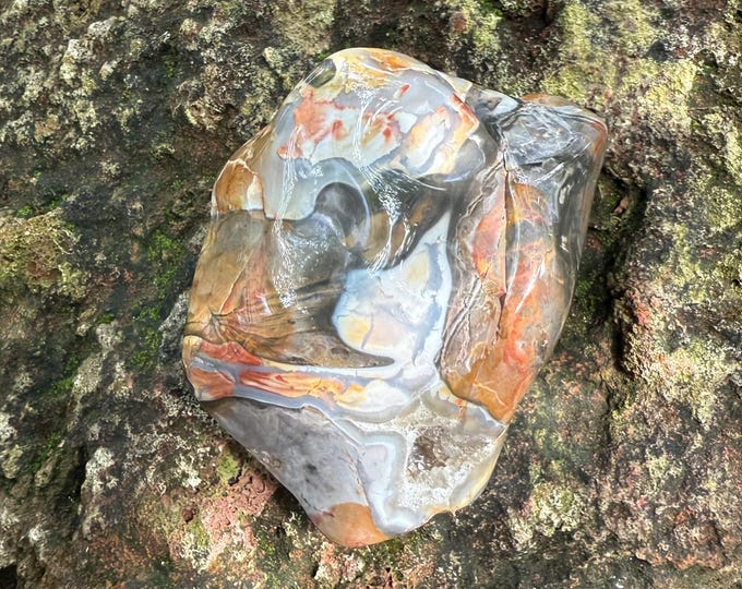 Druzy Ohio Rainbow Flint, 1/2 LB+ Polished Freeform Palm Stone, Druzy Cavern, Orbicular, Colorful Warrior Stone, 241.40 Grams, CR12643