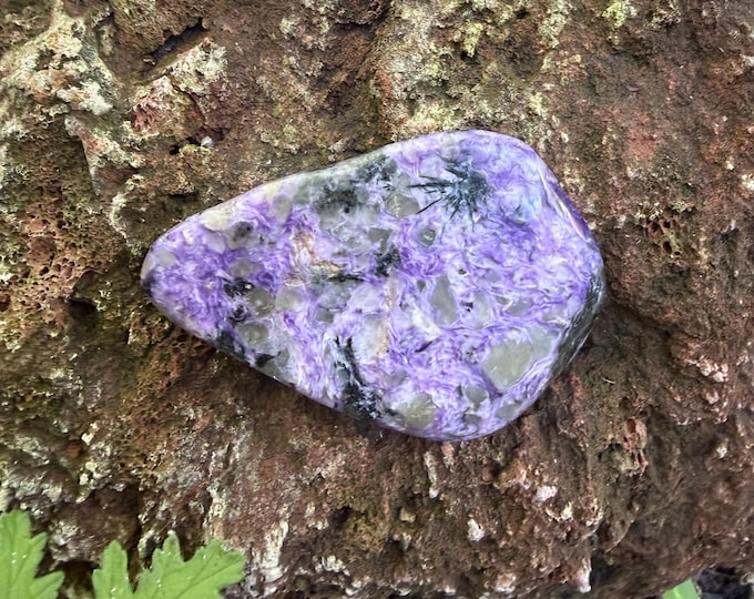 Charoite, 1/3 LB- Large Polished Free Form Palm Stone, Russia, 140.90 Grams, CR12754