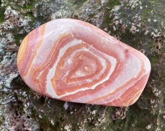 Wonderstone Jasper, 1/3 LB- Freeform Palm Stone, Orbicular, Nevada, 140.30 Grams, CR11636