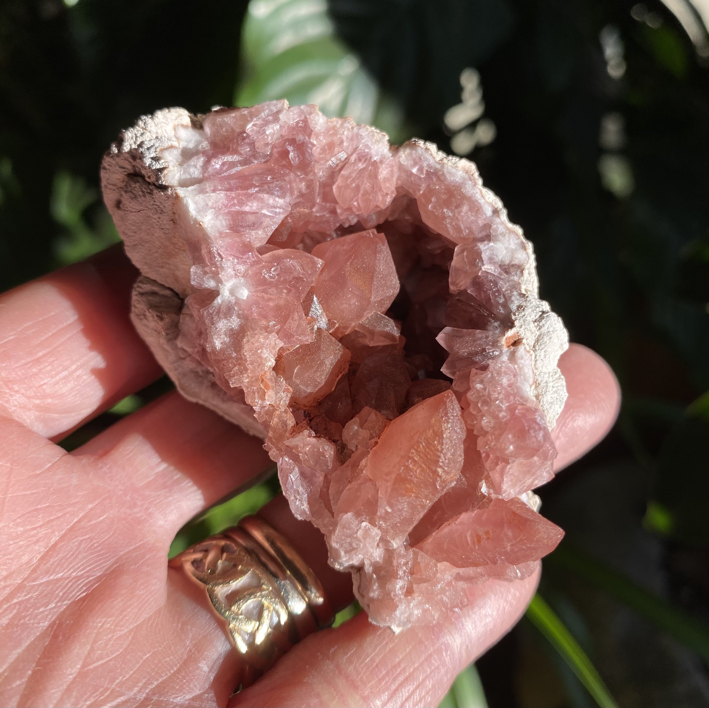 Pink Amethyst Cluster, Raw, Natural, Juicy Color, Argentina, 77.90 ...