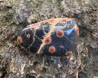 Peanut OBSIDIAN, Polished Palm Stone, Mexico, 95.60 Grams, CR12803