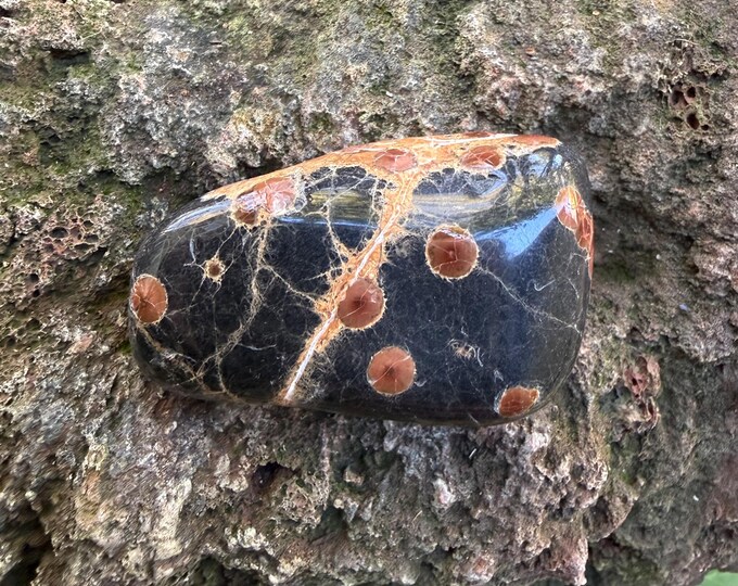 Peanut OBSIDIAN, Polished Palm Stone, Mexico, 95.60 Grams, CR12803
