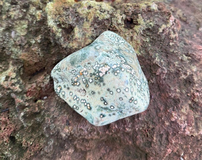 OCEAN JASPER, 1/2 LB+ Orbicular Palm Stone, Semi-Polished, Madagascar, 260.00 Grams, CR12750