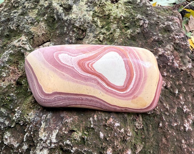 Wonderstone Jasper, 1/2 LB Polished, Nevada, 252.30 Grams, CR12792