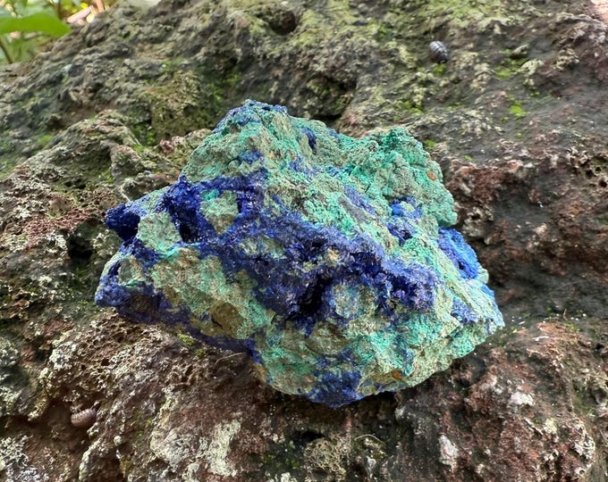 Azurite and Malachite, 1/3 LB+ Raw Cluster in Matrix, 175.80 Grams, CR12632