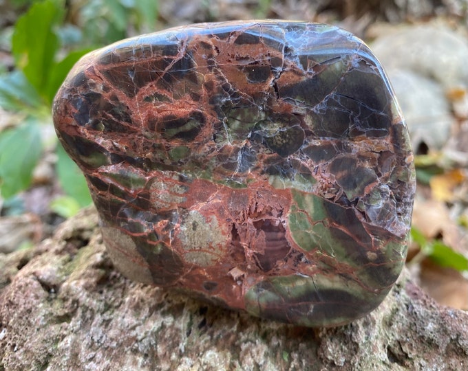 Large Spiderweb Jasper Palm Stone, 1/2 LB+ Green, Semi-Polished, 243.30 Grams, Oregon, CR10675