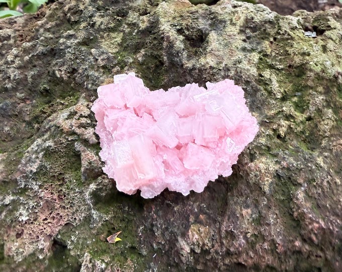 Pink Halite, Rock Salt Crystal, Hopper Crystals, Searles Valley California, 53.30 Grams, CR12786