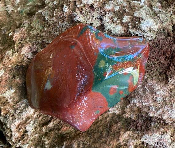 1/4 LB Bloodstone, Free Form Polished Palm Stone, India, 114.10 Grams, CR10478