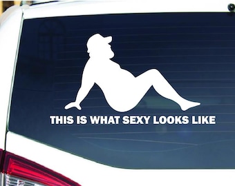 Dad Bod Vinyl Decal: Funny Car/Truck Window Sticker