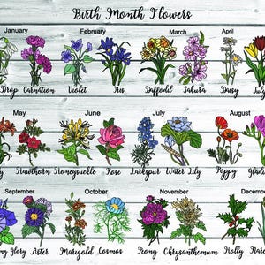 Bundle Svg mois de naissance, bouquet de naissance fleurs Svg numérique Bundle, fleurs murales numérique imprimable téléchargement