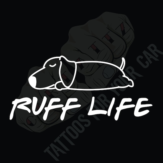 Dachshund, Dachshund Decal, Dachshund Sticker,Dachshund Gift,Dog Decal,Truck Decal,Car Decal,Car Window Decal,Laptop Sticker,Funny Car Decal