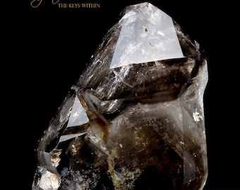 Smoky Elestial Quartz Crystal Record Keeper 'Portals of Ancient Knowledge'