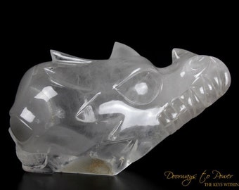 XL Dragon + Alien + Heart Alchemical Crystal Skull Sculpture by Leandro De Souza - Rare & Special. This Skull is a Force of Nature!