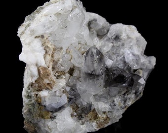 XL Brookite in Quartz Crystal Cluster Unique Collectors Quality Synergy 12 Stone