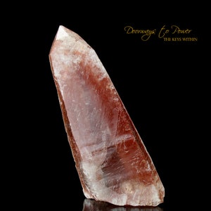 Scarlet temple lemurian - Etsy 日本